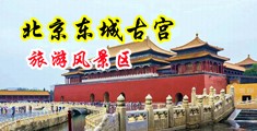 操寡妇粉嫩的逼中国北京-东城古宫旅游风景区